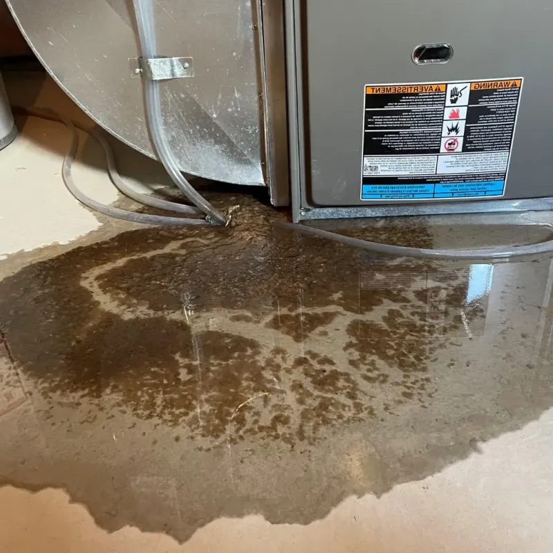Pipe Burst and Leak Restoration in Hayfield, VA